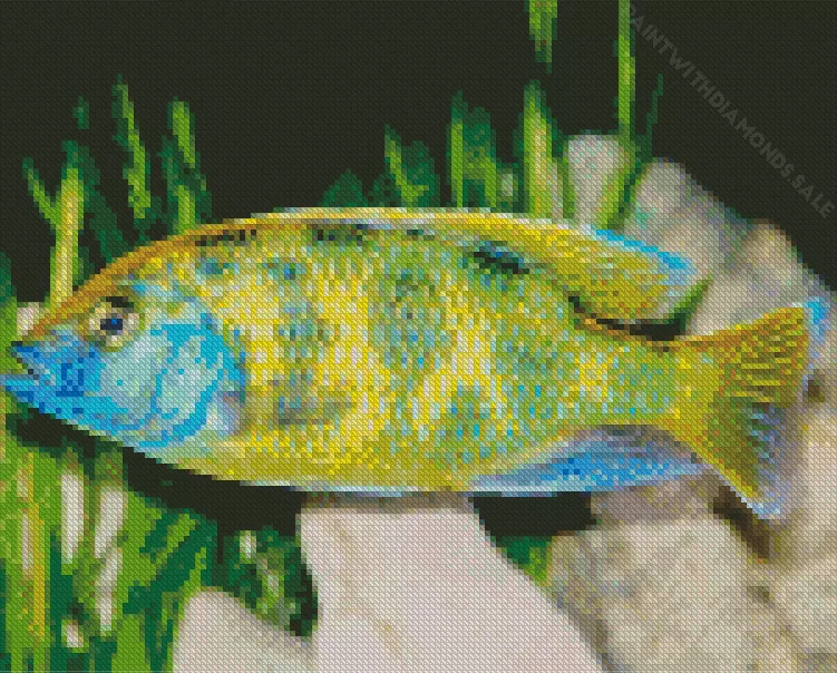 green Cichlid Diamond With Numbers Green Cichlid Diamond Painting