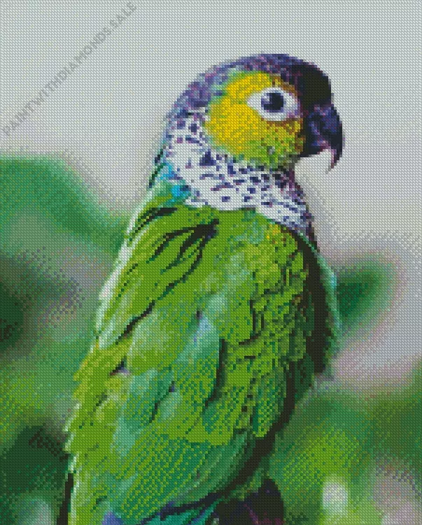 green Conure Bird Diamond By Numbers Green Conure Bird Diamond Painting