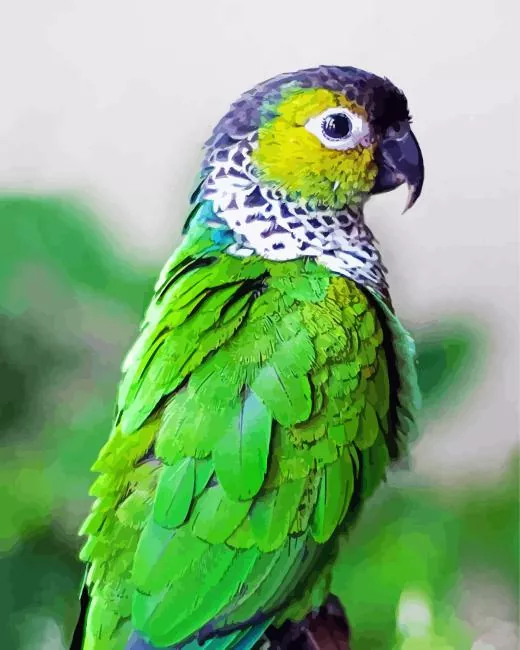 green Conure Bird Diamond Paints Green Conure Bird Diamond Painting