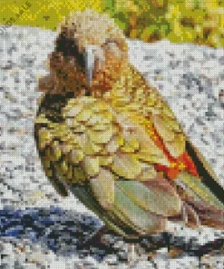 Green Kea Bird Diamond Painting