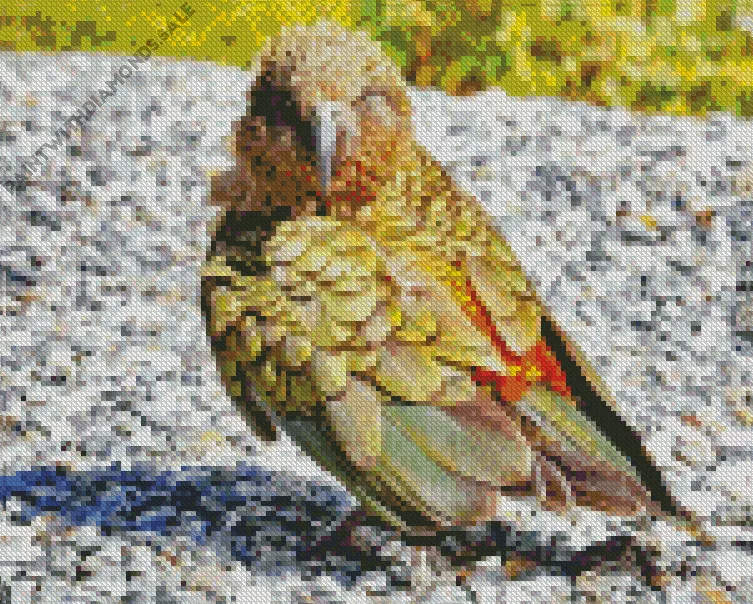 green Kea Bird Diamond Dotz Green Kea Bird Diamond Painting