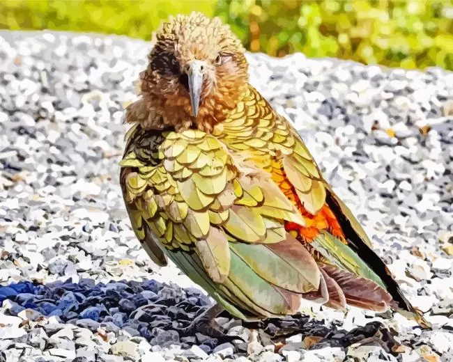 green Kea Bird Diamond With Numbers Green Kea Bird Diamond Painting