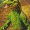 Green Komodo Dragon Diamond Painting