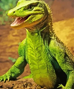 Green Komodo Dragon Diamond Painting