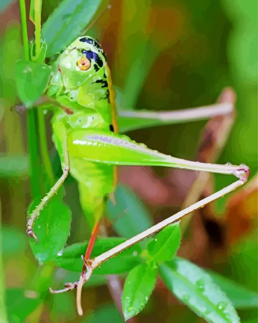 green Locust art Diamond Paints Green Locust Art Diamond Painting