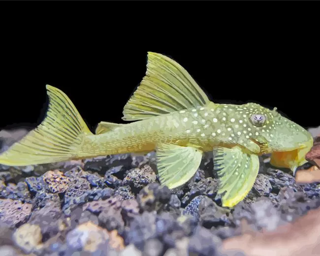 green Pleco Diamond Paints Green Pleco Diamond Painting