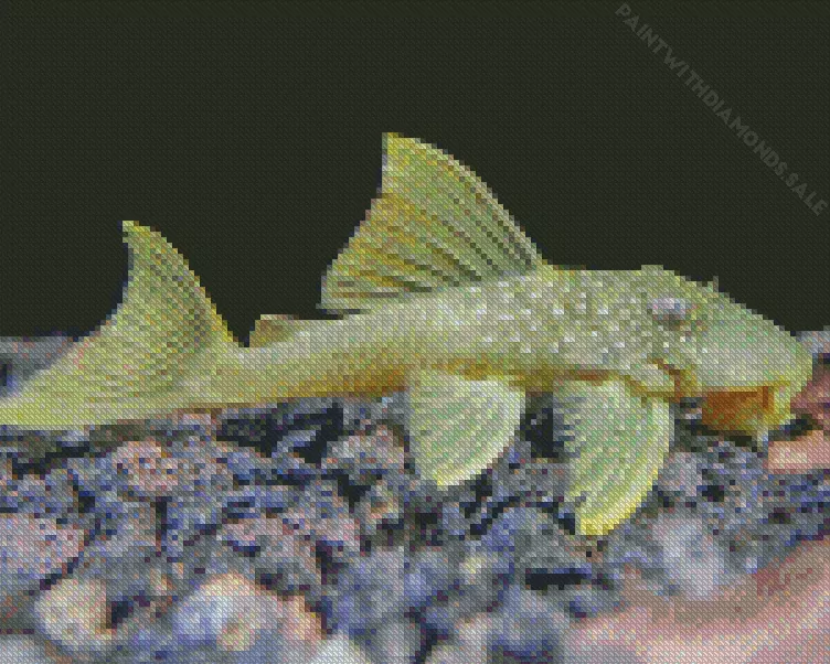 green Pleco Diamond With Numbers Green Pleco Diamond Painting