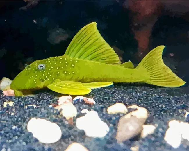 green Pleco Fish Diamond Paints Green Pleco Fish Diamond Painting