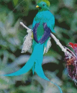 Green Resplendent Quetzal Diamond Painting