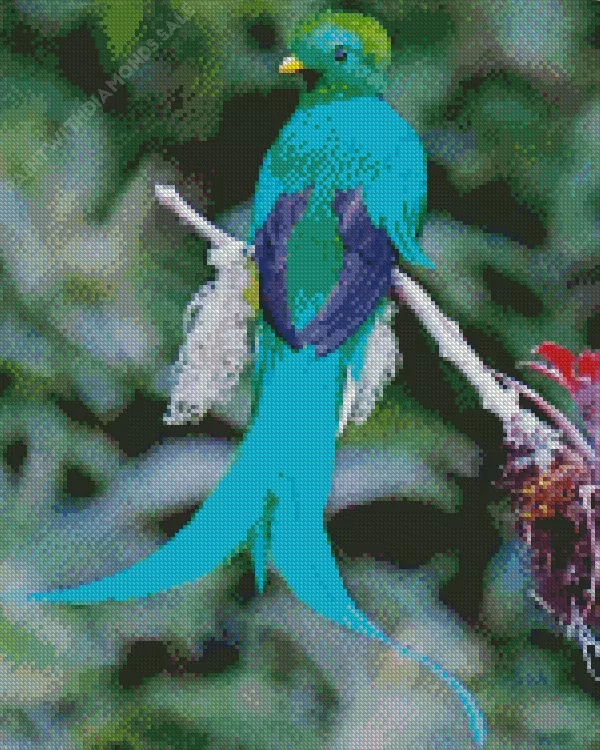 green Resplendent Quetzal Diamond Dotz Green Resplendent Quetzal Diamond Painting