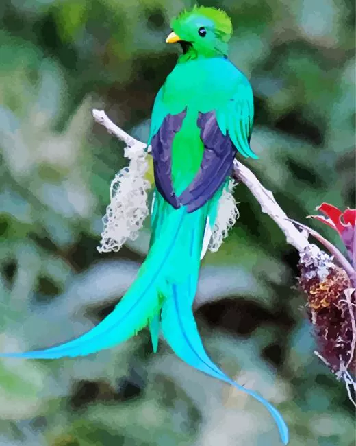 green Resplendent Quetzal Diamond Paintings Green Resplendent Quetzal Diamond Painting