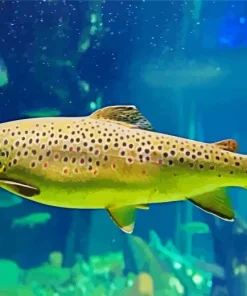 Green Trout Fish Diamond Painting