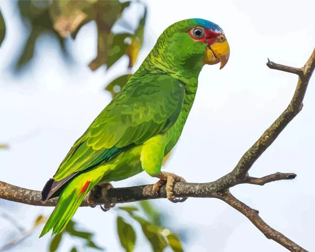 green White Fronted Amazon Diamond By Numbers Green White Fronted Amazon Diamond Painting