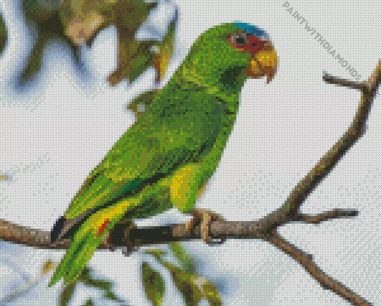 green White Fronted Amazon Diamond Dotz Green White Fronted Amazon Diamond Painting