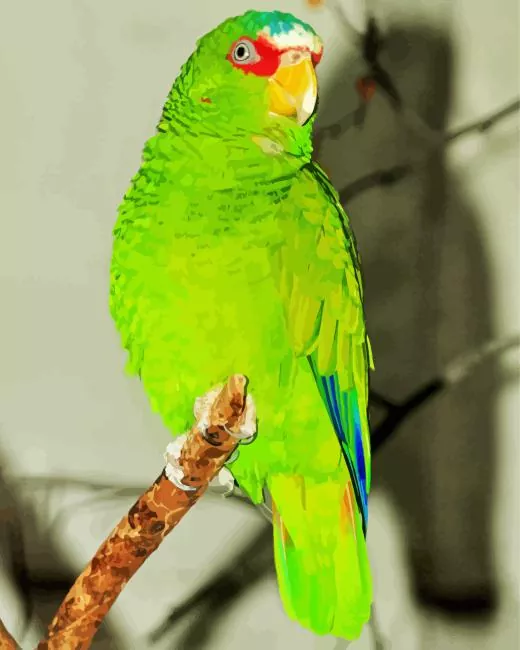 green White Fronted Amazon bird Diamond By Numbers Green White Fronted Amazon Bird Diamond Painting