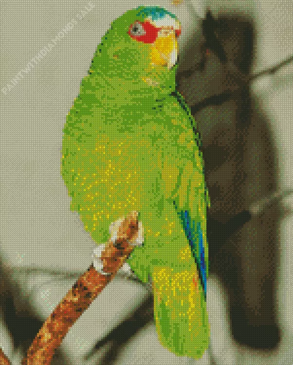 green White Fronted Amazon bird Diamond Dotz Green White Fronted Amazon Bird Diamond Painting