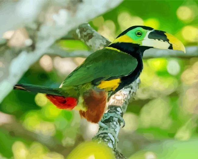 green Yellow Eared Toucanet Diamond By Numbers Green Yellow Eared Toucanet Diamond Painting