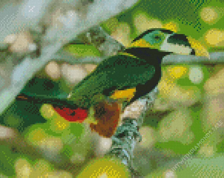 green Yellow Eared Toucanet Diamond Dotz Green Yellow Eared Toucanet Diamond Painting
