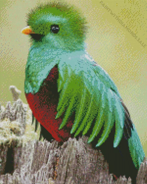 green and red Resplendent Quetzal Diamond Dotz Green And Red Resplendent Quetzal Diamond Painting