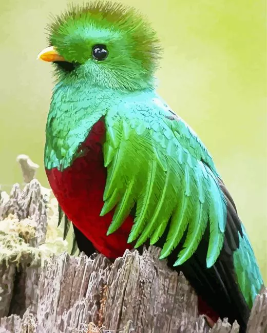 green and red Resplendent Quetzal Diamond Paintings Green And Red Resplendent Quetzal Diamond Painting
