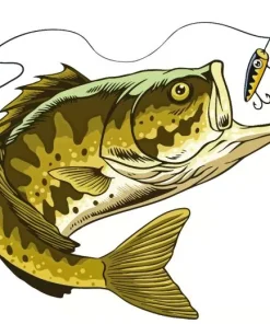 Green Bass Fish Diamond Painting