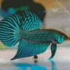 Green Betta Fish Art Diamond Painting