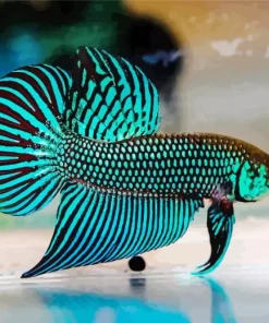 Green Betta Fish Art Diamond Painting