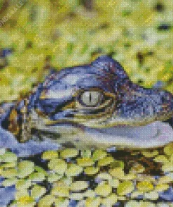 Green Eyed Alligator Diamond Painting