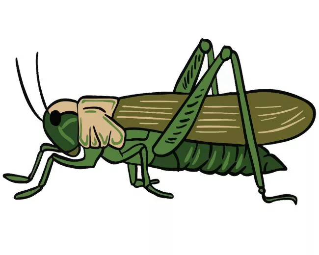 green locust Diamond Paints Green Locust Diamond Painting