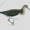 Green Sandpiper Art Diamond Painting