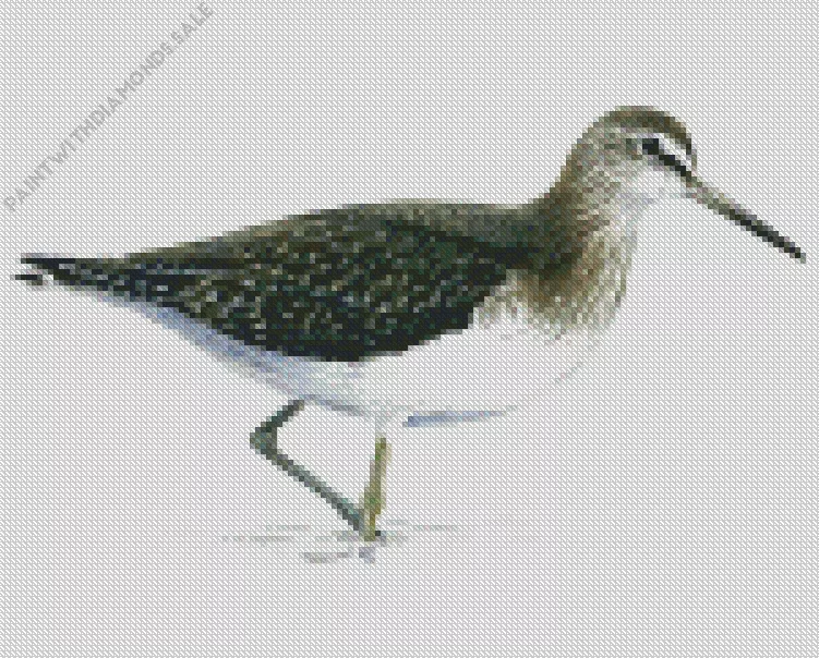 green sandpiper art Diamond Dotz Green Sandpiper Art Diamond Painting