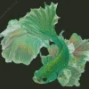Green Siamese Fighting Fish Diamond Painting