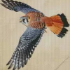 Grey American Kestrel Diamond Painting