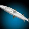 Grey Barracuda Fish Diamond Painting