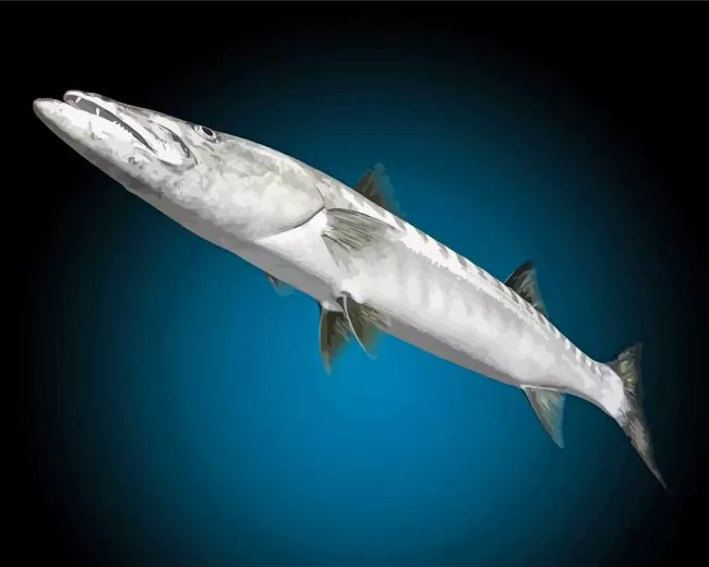 grey Barracuda Fish Diamond Paints Grey Barracuda Fish Diamond Painting