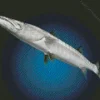 Grey Barracuda Fish Diamond Painting