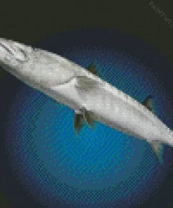 Grey Barracuda Fish Diamond Painting
