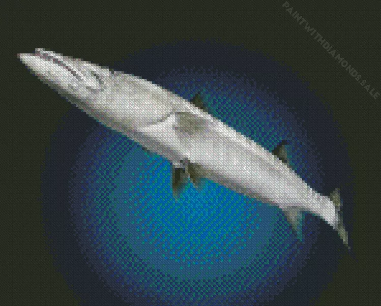 grey Barracuda Fish Diamond With Numbers Grey Barracuda Fish Diamond Painting
