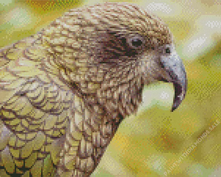 grey Kea Diamond Dotz Grey Kea Diamond Painting