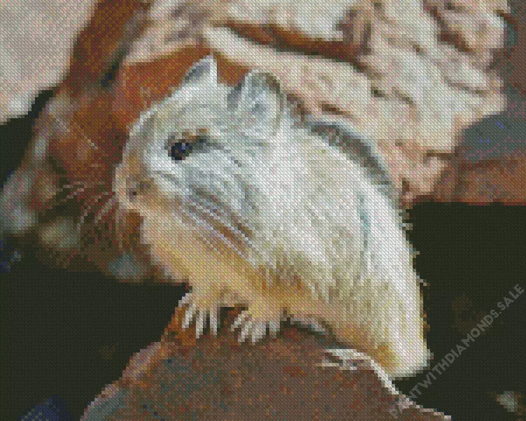 grey Pika Diamond By Numbers Grey Pika Diamond Painting