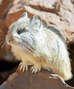 Grey Pika Diamond Painting