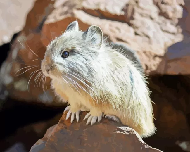 grey Pika Diamond Paintings Grey Pika Diamond Painting