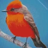 Grey And Red Vermilion Flycatcher Bird Diamond Painting