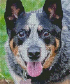 Happy Australian Cattle dog Diamond Painting