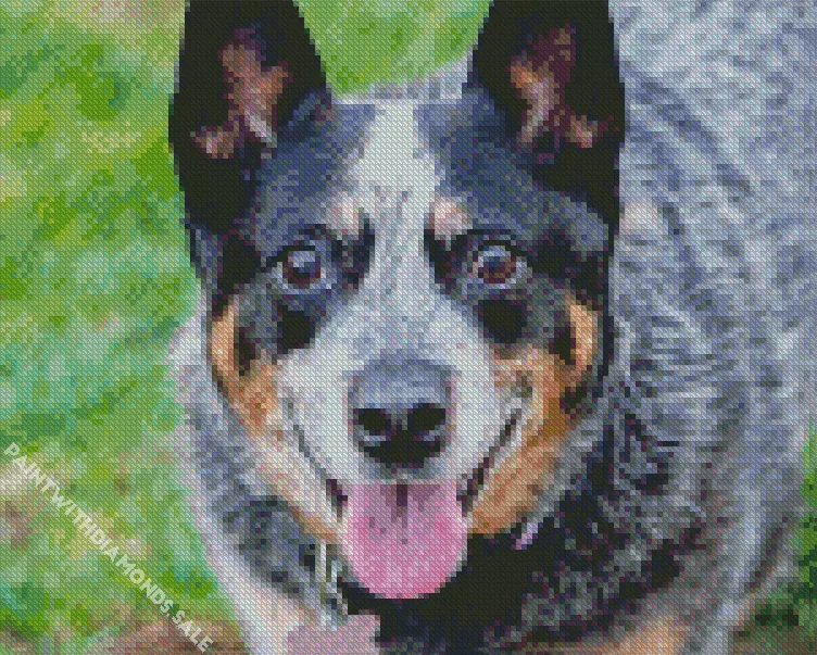 happy Australian Cattle dog Diamond Dotz Happy Australian Cattle dog Diamond Painting