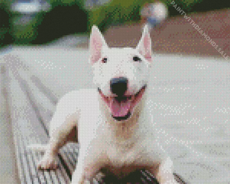 happy Bull Terrier Diamond By Numbers Happy Bull Terrier Diamond Painting