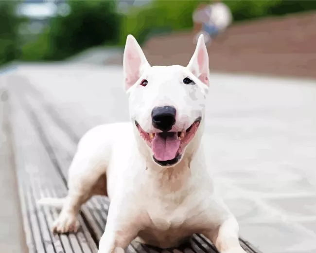 happy Bull Terrier Diamond Paintings Happy Bull Terrier Diamond Painting