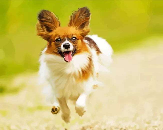 happy Papillon dog Diamond By Numbers Happy Papillon Dog Diamond Painting