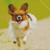 Happy Papillon Dog Diamond Painting