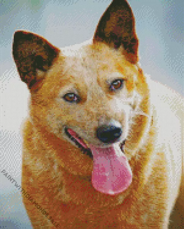 happy Red Heeler Diamond Dotz Happy Red Heeler Diamond Painting